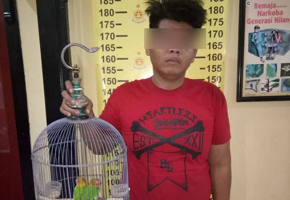 Tersangka menunjukkan sangkar dan 2 burung yang dicurinya