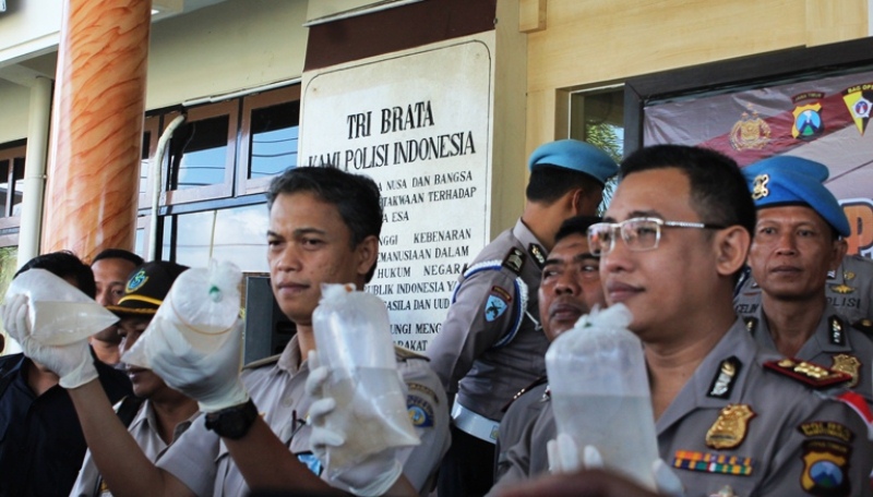 Kapolres Banyuwangi AKBP Donny Adityawarman menunjukkan bibit lobster yang disita.