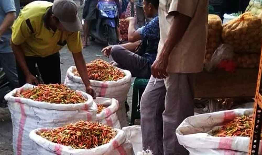 Ini Penyebab Anjloknya Harga Cabai di Probolinggo