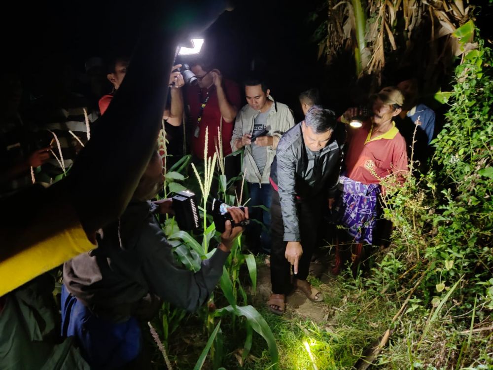 2 Petani Terlibat Duel Carok di Situbondo, Seorang Tewas