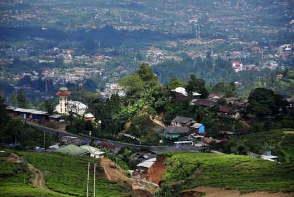 Puncak, Bogor, Jawa Barat 
(Foto: Republika/Rakhmawaty La'lang)
