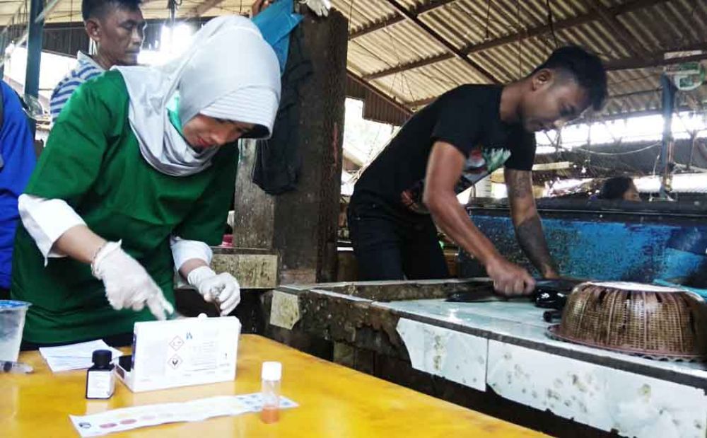 Petugas Dinas Pertanian Mojokerto mengetes daging dan ikan di Pasar Legi, Mojosari