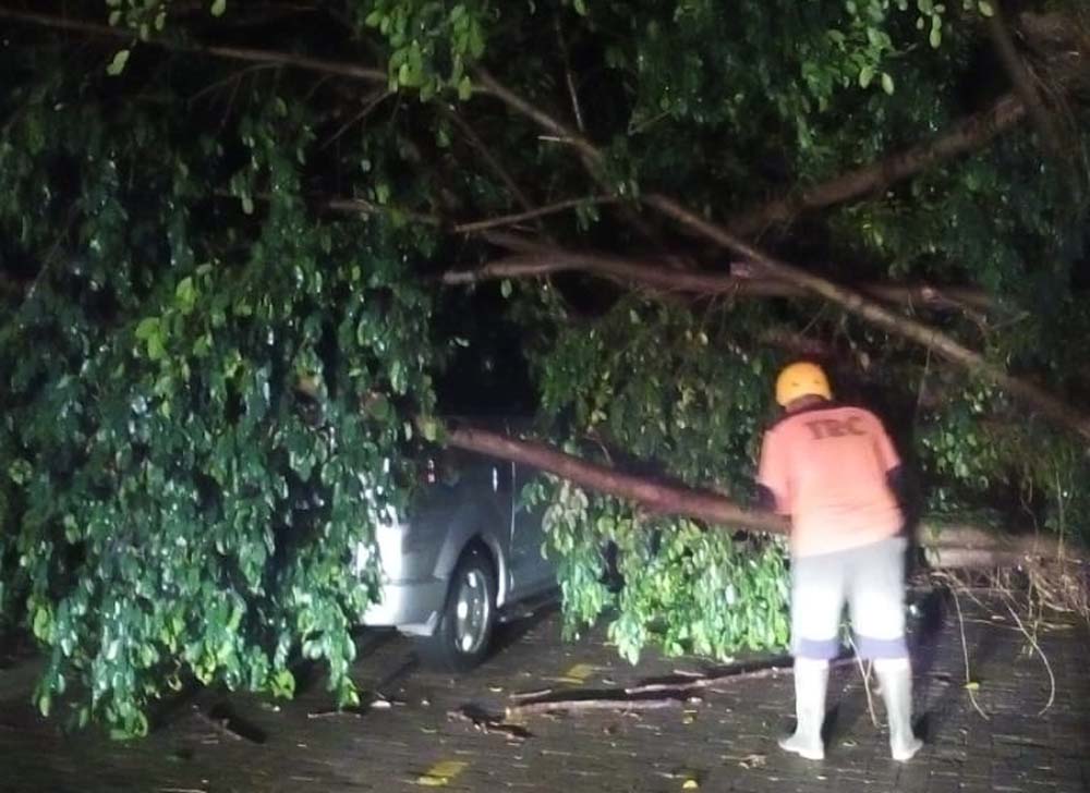 Petugas melakukan evakuasi pohon tumbang di SMPN 1 Ponorogo (Istimewa/BPBD Ponorogo)