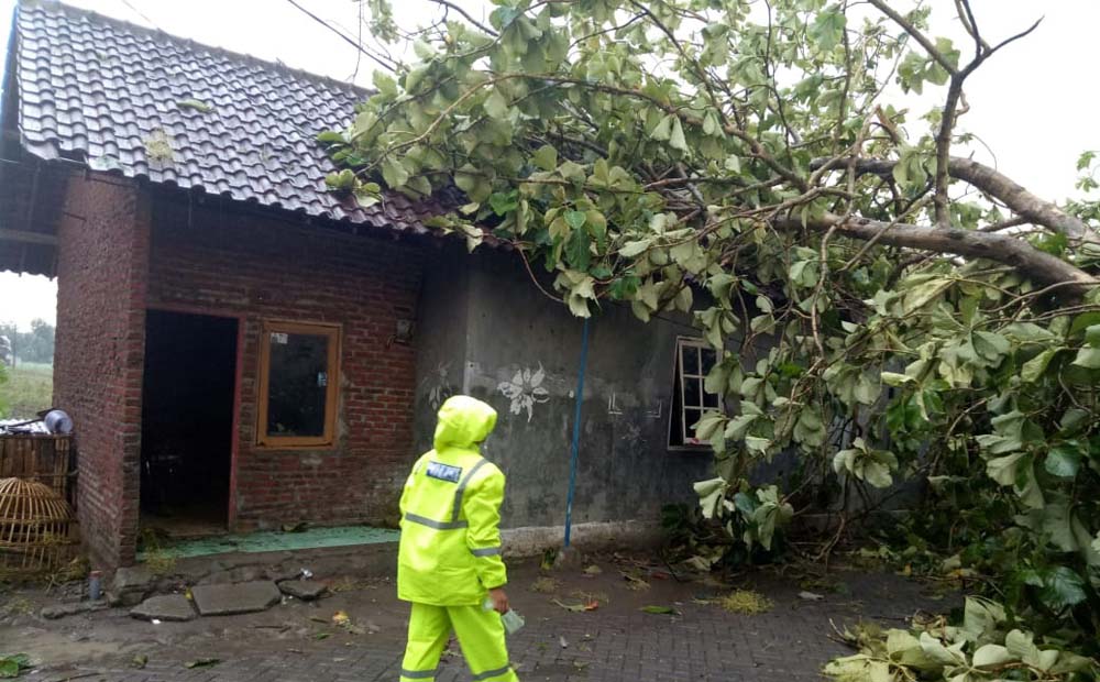 Salah satu rumah yang tertimpa pohon akibat hujan dan angin puting beliung/Istimewa