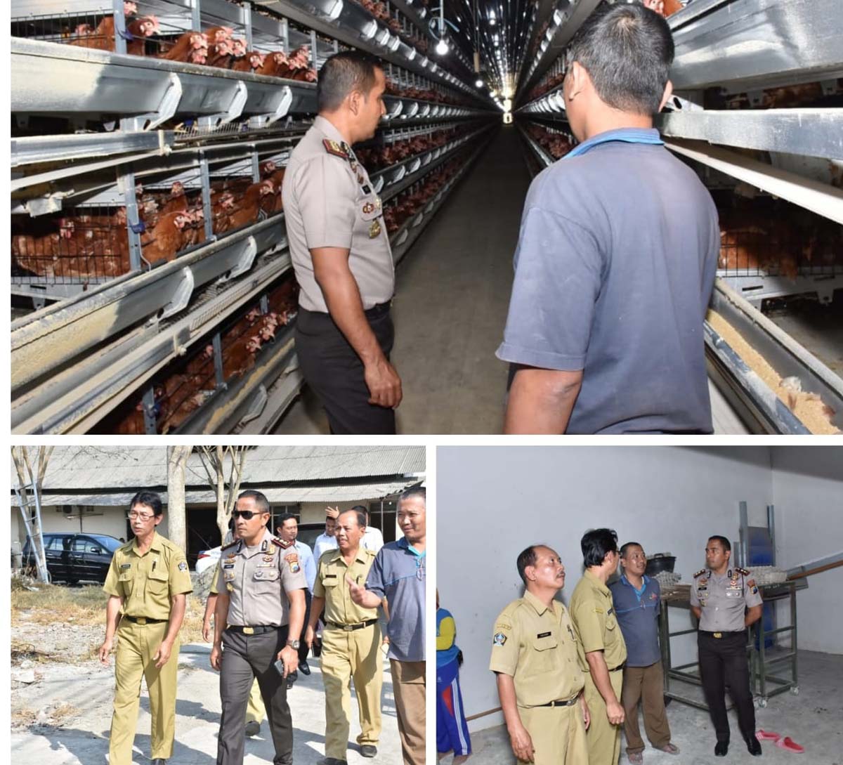 Kapolres Blitar bersama jajaran dan Dinas Peternakan saat melakukan sidak.
