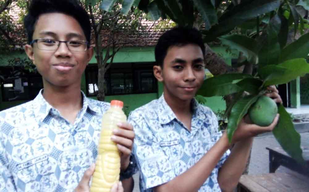 Ibnu Hanif Al Magfur dan M. Fairuz Januar menunjukkan gula mangga hasil inovasinya