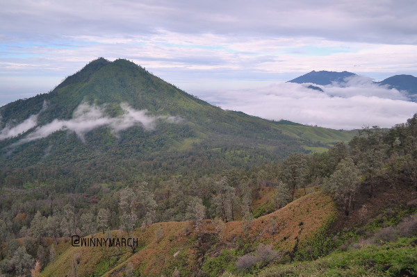 Gunung Meranti Terbakar, Bagaimana Mengatasinya?