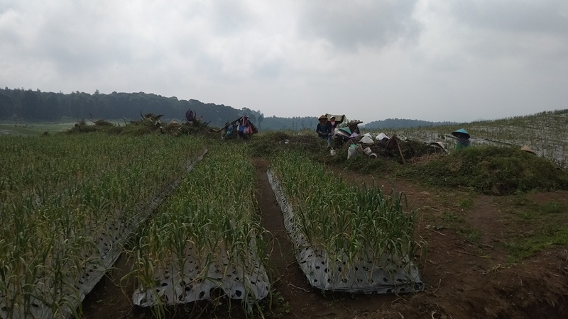 Ilustrasi/jatimnow.com