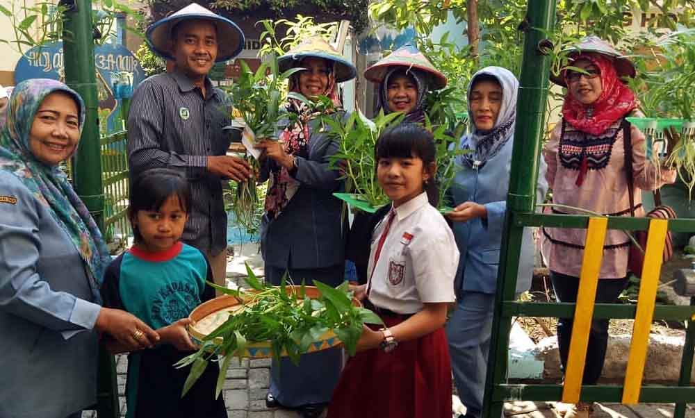 Salah satu siswa usai memanen tanaman hidroponik