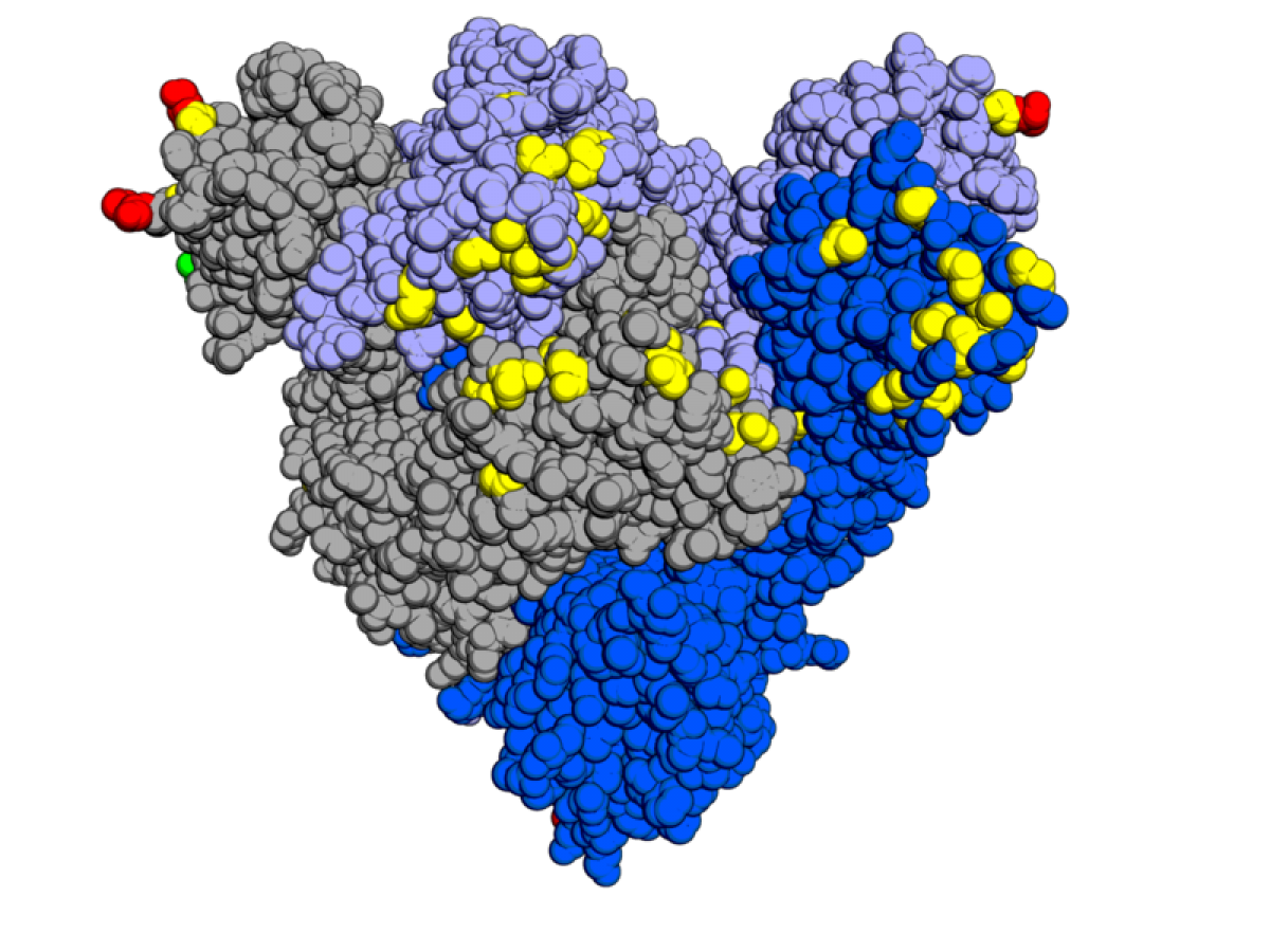 PMI Rawan Terpapar Omicron, Disnakertrans Jatim Siapkan Pencegahan