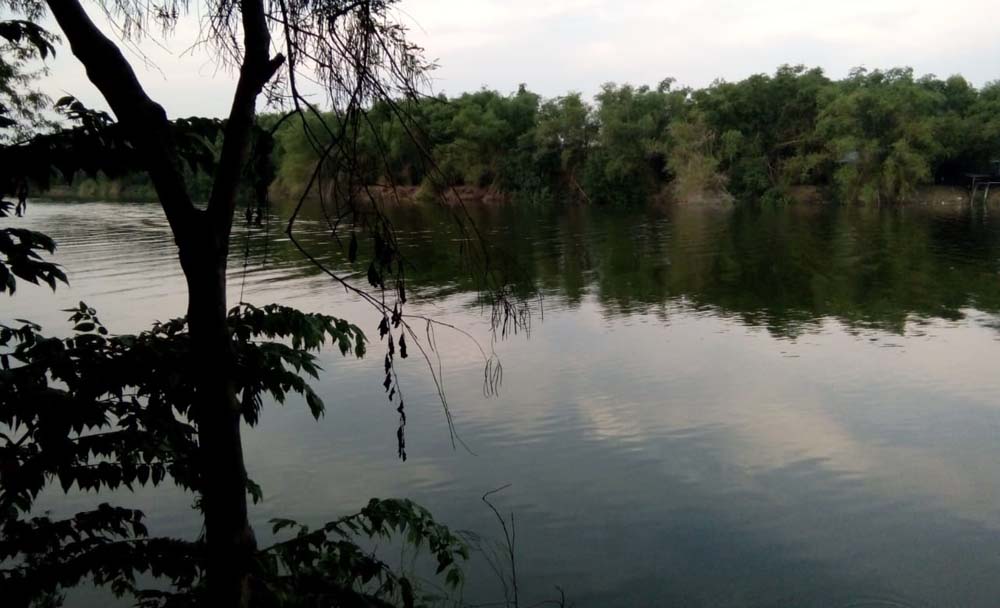 Tim Gabungan Rancang Penangkapan Buaya di Bengawan Solo