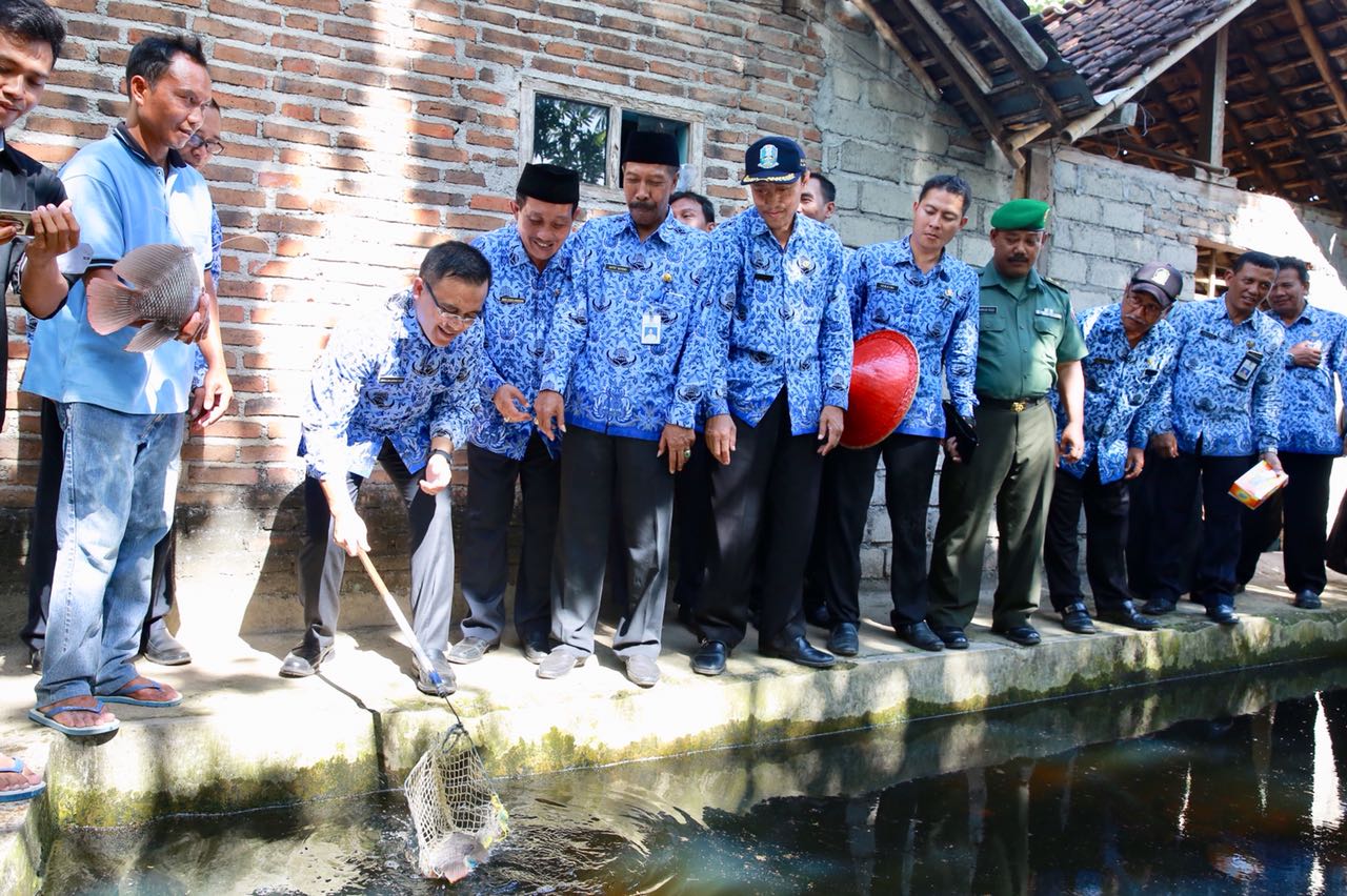 Bupati Anas Saat mengunjungi kolam salah satu kelompok pembudidaya ikan gurami di Desa Sukomaju
