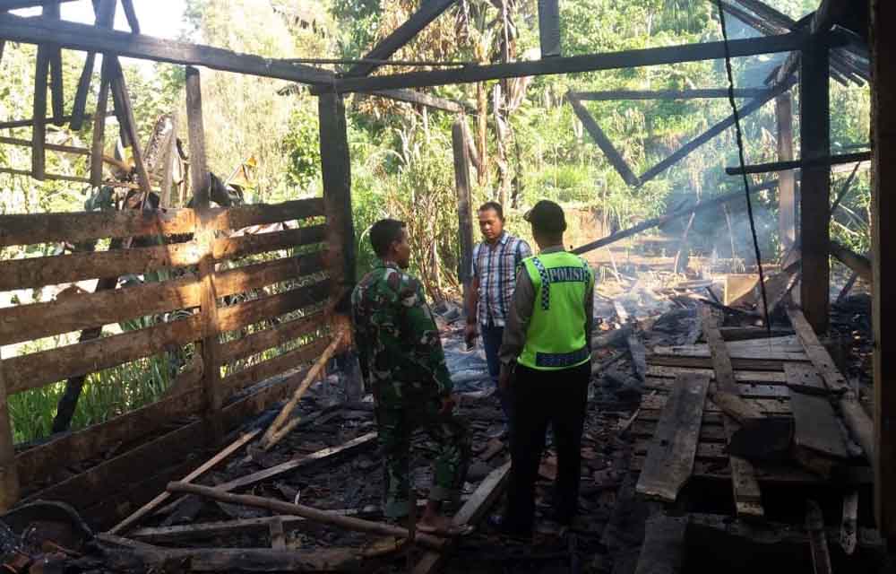 Kandang sapi milik Sarno yang terbakar
