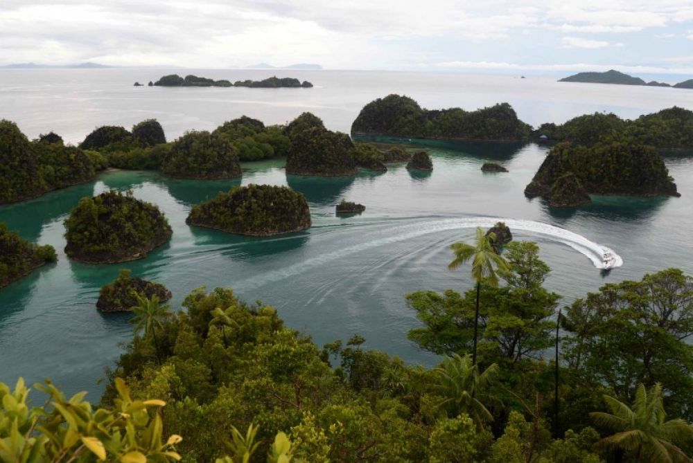 Ilustrasi kapal pesiar di perairan Raja Ampat (Foto: Republika/Yasin Habibi)