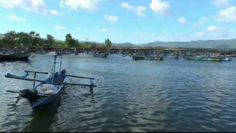 Kapal nelayan bersandar di P3 Tamperan Pacitan/Foto: Mita Kusuma

 