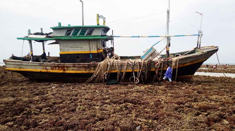 Kapal nelayan asal probolinggo yang kandas
