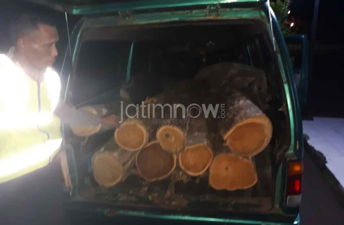 8 gelondong kayu tak berizin yang berhasil diamankan polisi
