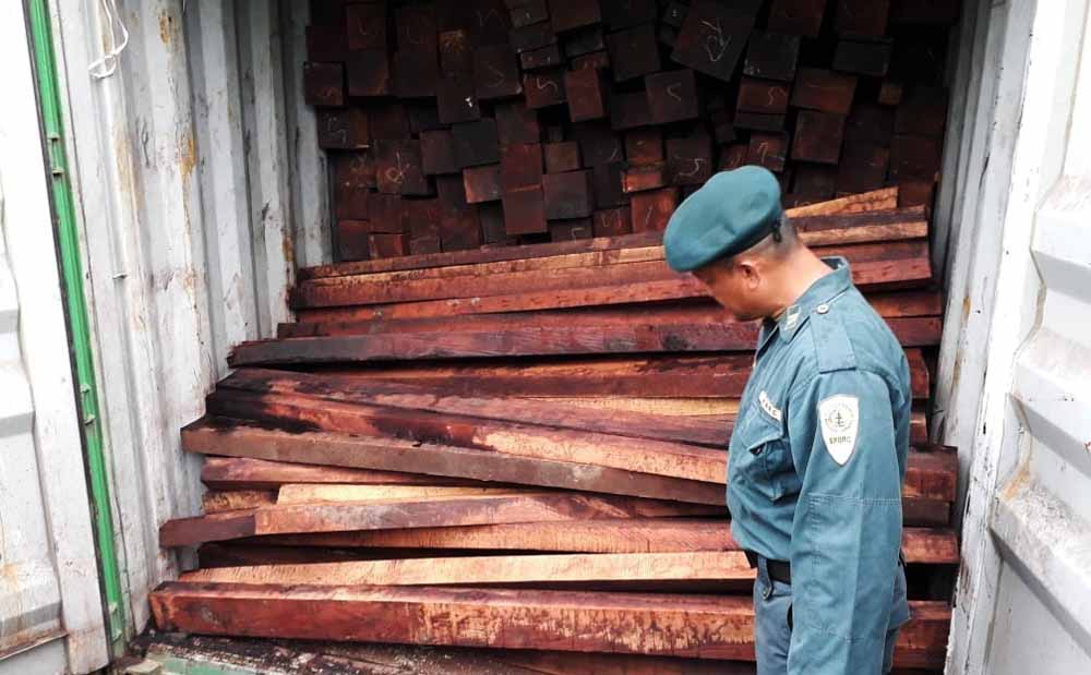 Barang bukti kayu yang berhasil diamankan