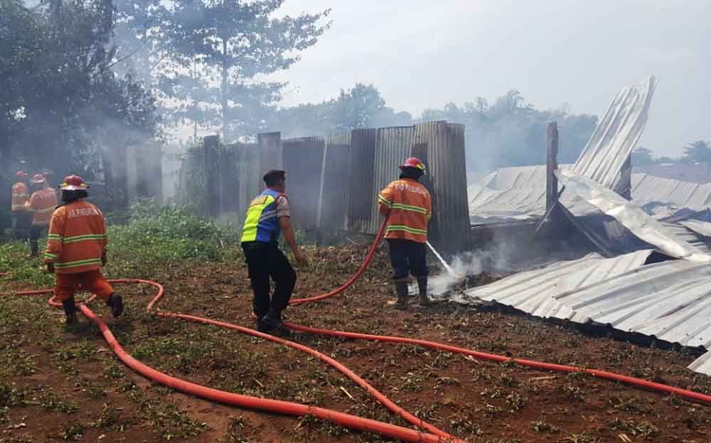 Gudang Kapuk di Pasuruan Terbakar