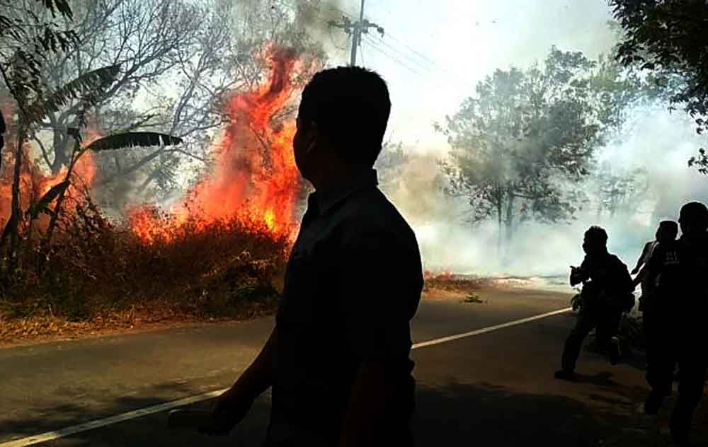 Hutan di Ponorogo Terbakar, Akses 3 Kecamatan Tertutup