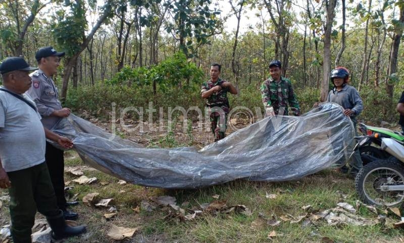 Diduga Akibat Balon Udara, Hutan di Ponorogo Terbakar