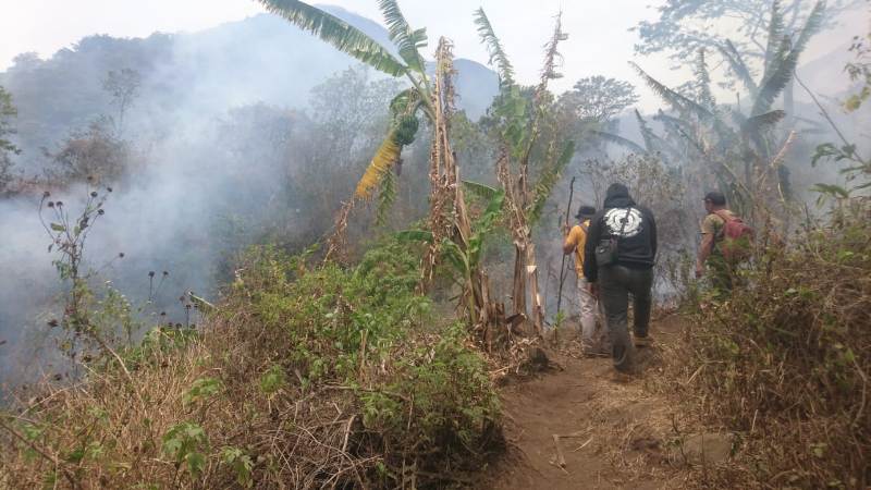 Relawan dan sejumlah instansi terkait saat melakukan pemadaman kebakaran hutan.
