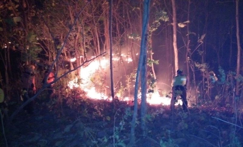 Personil kepolisian berusaha memadamkan api kebakran hutan rakyat/Foto: Mita Kusuma
