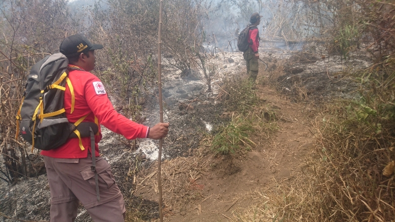 Kebakaran Hutan di Gunung Penanggungan Juga Bakar Situs Purbakala 