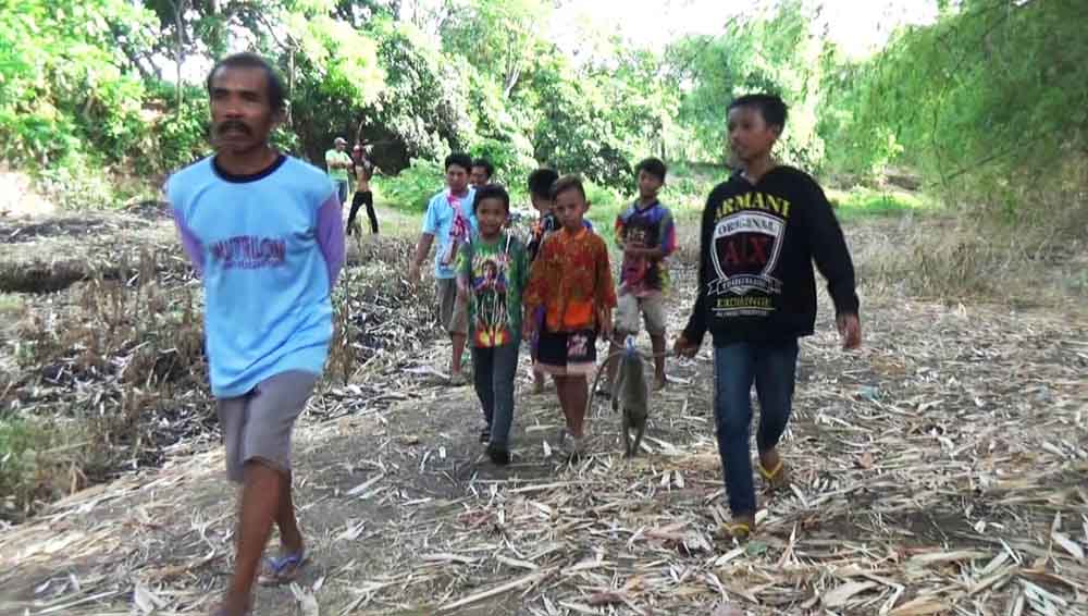 Satu kera liar yang berhasil dilumpuhkan