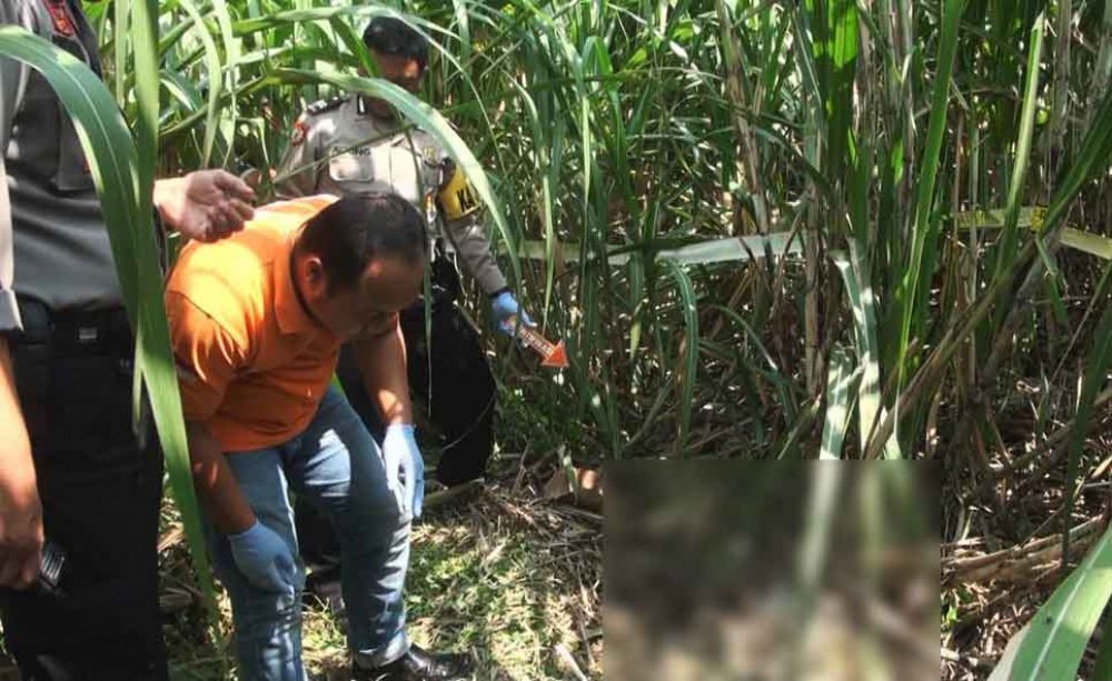 Olah TKP penemuan kerangka di ladang tebu