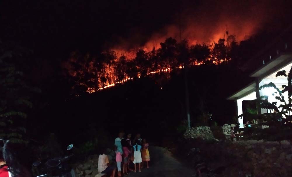 Kebakaran yang melanda lahan hutan rakyat di Magetan