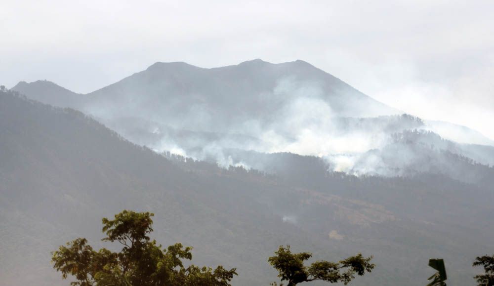 Foto: Budi Sugiharto [jatimnow.com]
