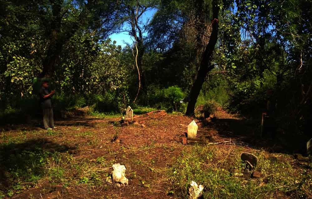 Kompleks makam di Hutan Banyuwangi