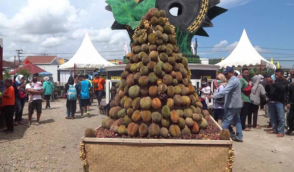2000 buah durian yang disiapkan Pemkab Trenggalek ludes sebelum acara labuh durian dimulai