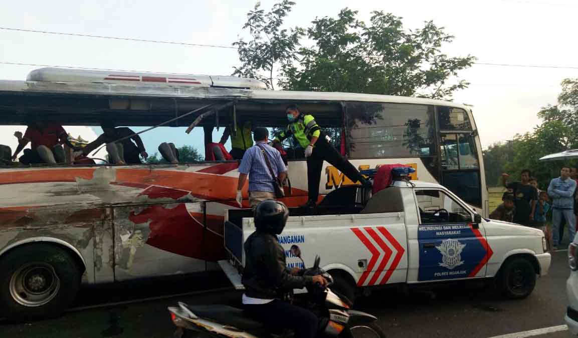 PO Bus Mira yang terlibat kecelakaan/Foto: Istimewa