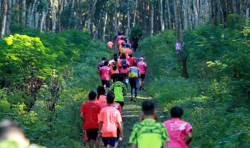 Para peserta Banyuwangi Ijen Green Run tahun 2017 saat lari di pegunungan