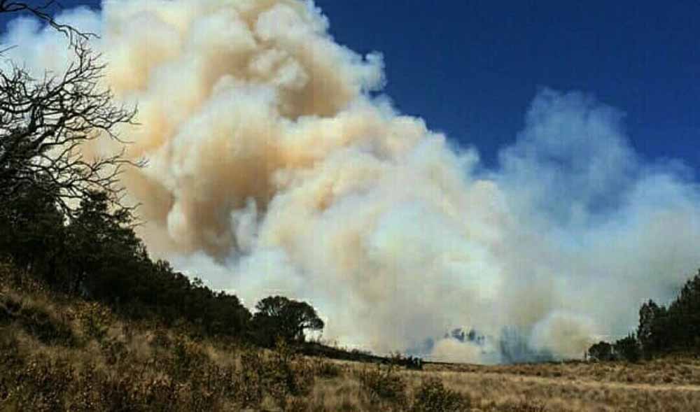 Salah satu titik kebakaran di Gunung Lawu
