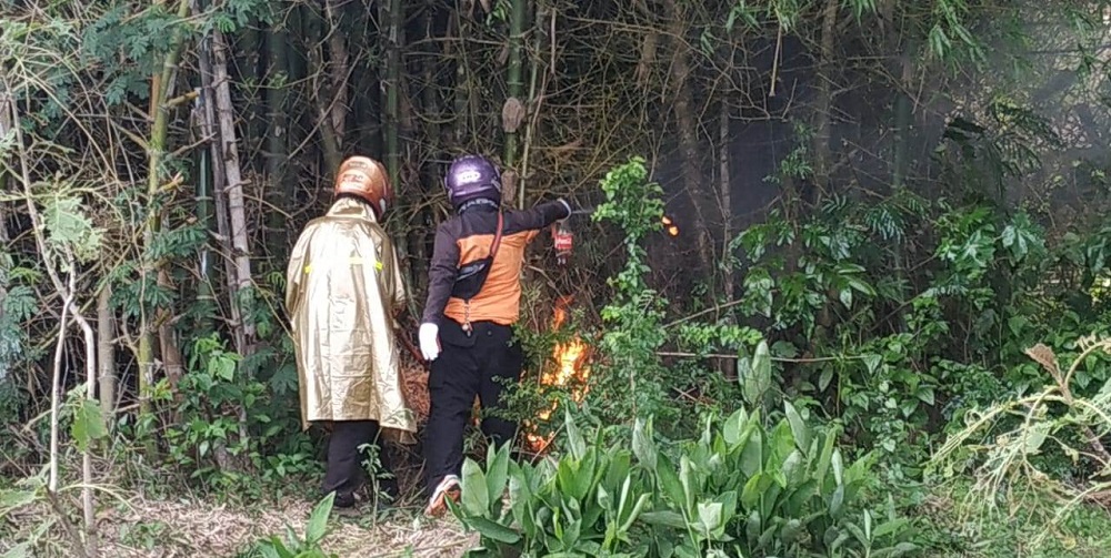 Petugas BPBD memusnahkan rumah lebah yang mengganggu masyarakat dengan jalan dibakar.