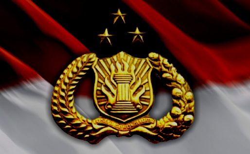 Kapolda Sumatera Selatan Ditabrak Ojek Online, Apa yang Terjadi?