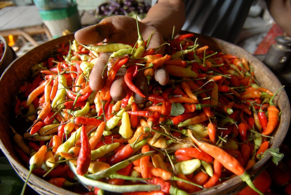 Ilustrasi (foto: google)