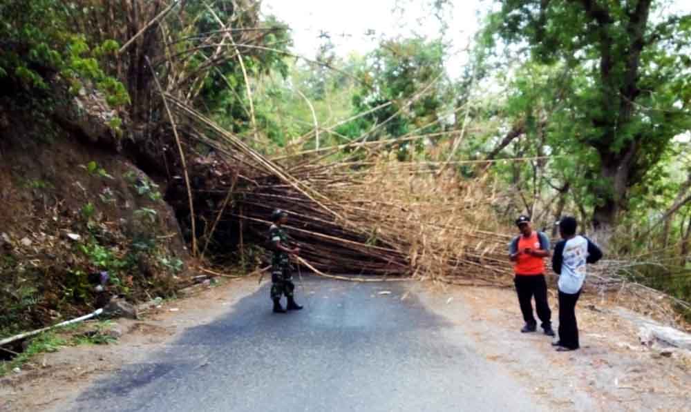 Jalur Wisata Telaga Ngebel Ponorogo Tertutup Longsor