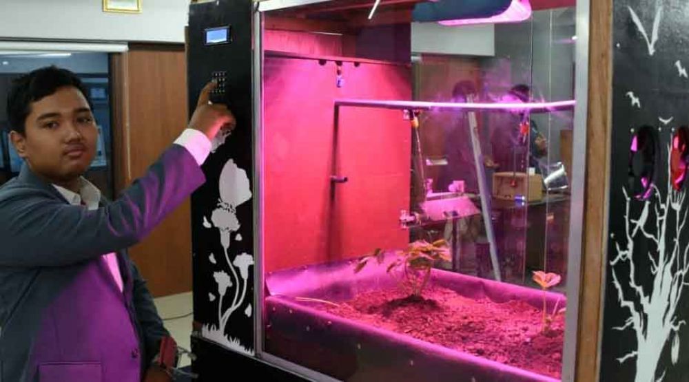 Automatic Smart Garden