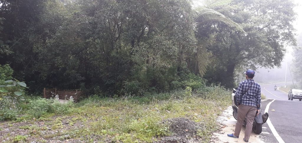 Muncul Makam Misterius di Pinggir Jalan menuju TWA Kawah Ijen