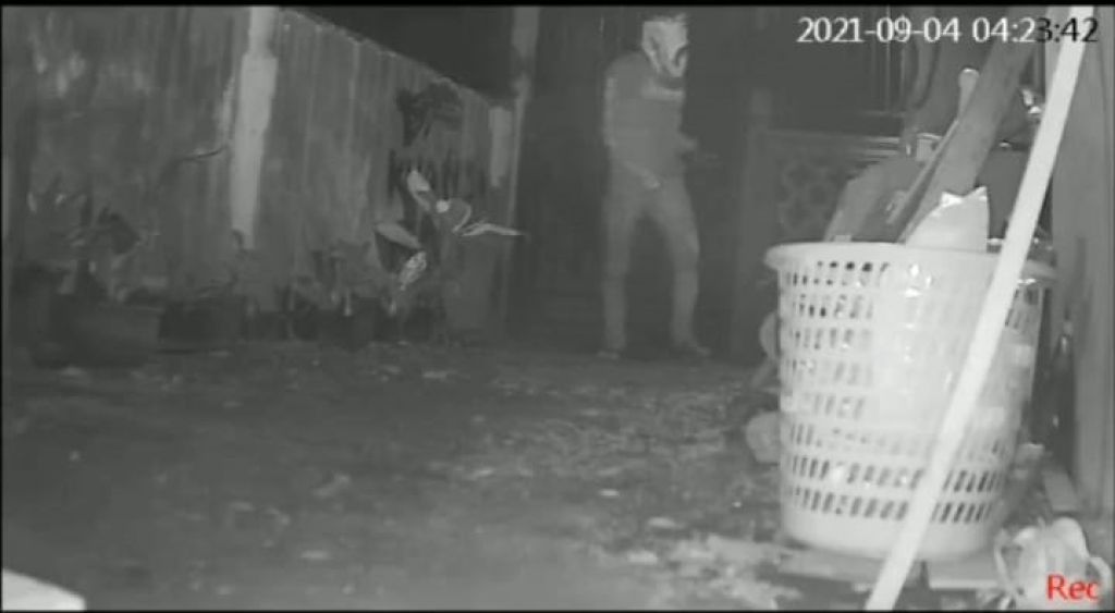 Rekaman CCTV pencuri pakaian dalam wanita di Banyuwangi.