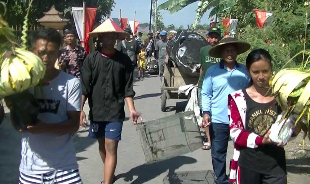 Upacara adat manten tikus