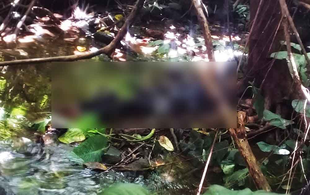 Mayat yang ditemukan di tengah hutan di Blitar