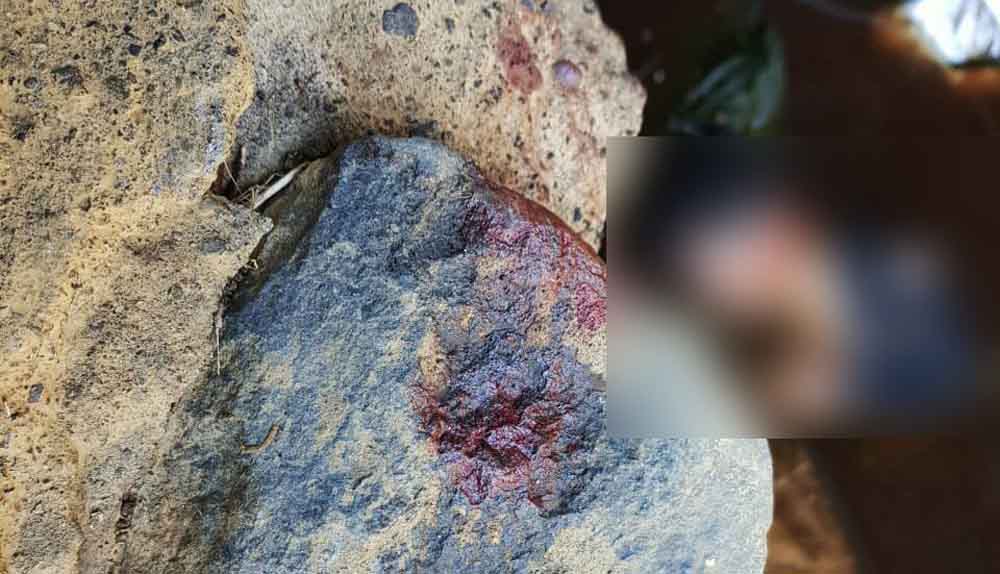 Mayat Penuh Luka di Probolinggo Ternyata Masih Berstatus Pelajar SMP 