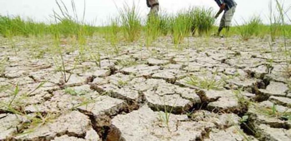 Musim kemarau/ foto dokumen