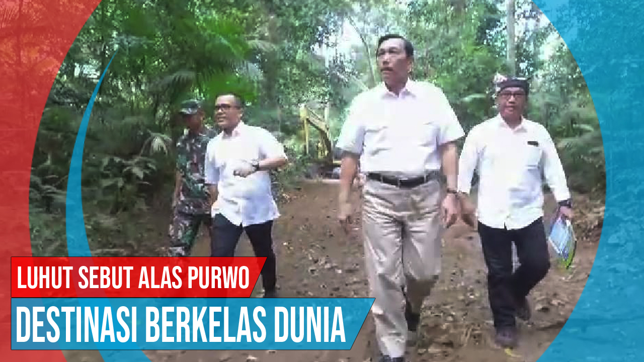 Video: Luhut Sebut Alas Purwo Destinasi Berkelas Dunia