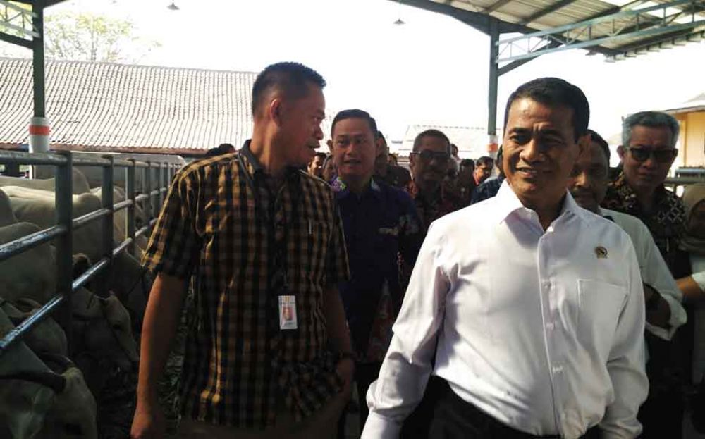 Menteri Pertanian Ancam Black List Mafia Perusak Harga Ayam Pedaging